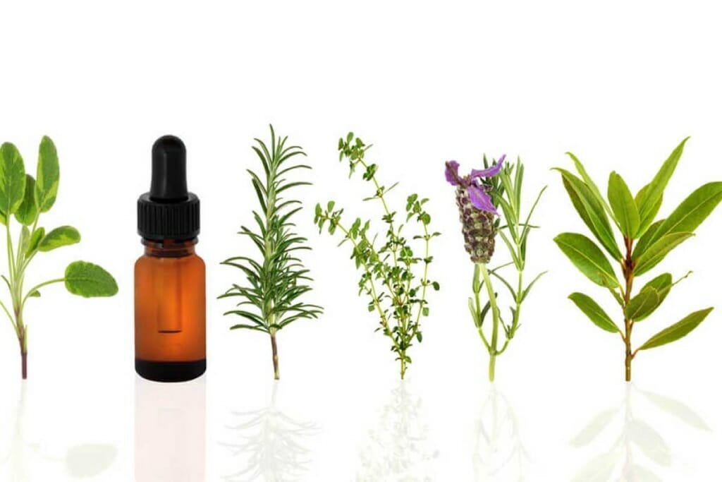 Homeopatija za rastline