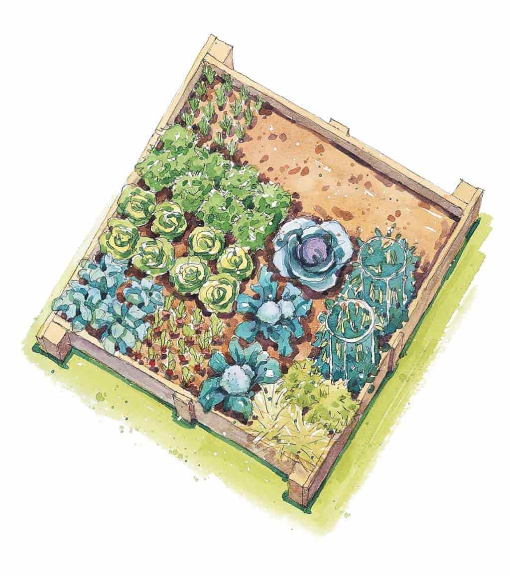plan vrta