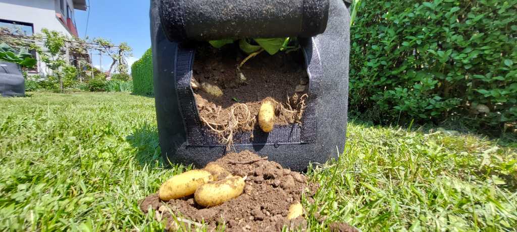 Vzgoja krompirja sadilna vreča za krompir PlantIN