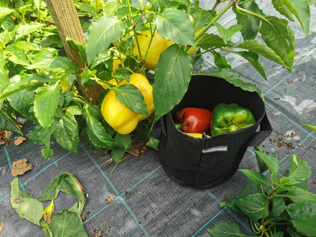 Vreća za sadnju paprika